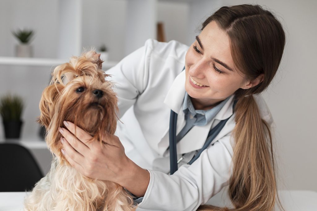 veterinary medicine